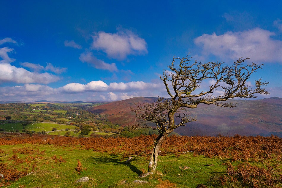 Valley of the River Dart. Dartmoor Devon Landscape